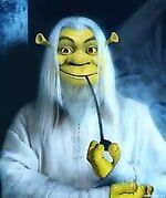 wizards, wizards