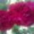 hata0791