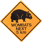 CyberWombat, CyberWombat
