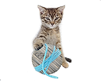 sci_kit, sci_kit