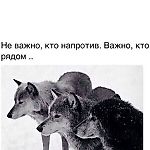 Saken.Almaty, Saken.Almaty Saken.Almaty, Saken.Almaty