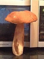 Сергей Булавко, Сергей Булавко