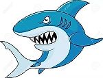 Gossip Shark, Gossip Shark