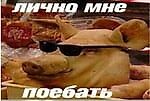 PEGEON, PEGEON