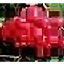 mst125