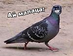 mata, mata mata, mata
