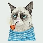 Сашенька Строчихин-Хороший, Сашенька Строчихин-Хороший