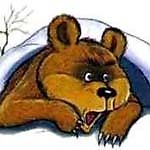 адекватная МеДВедица, адекватная МеДВедица