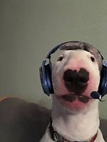 timofey1402, timofey1402