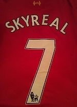 SkyReal, SkyReal