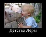 Свидетели Карпина, Свидетели Карпина