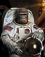 Dr_Bloodmoney, Dr_Bloodmoney