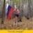 (пользователь заблокирован)
