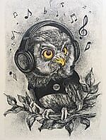 ПанкРокСова, ПанкРокСова