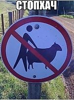 VALENTINBLUVANTIN, VALENTINBLUVANTIN