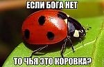 Сергей Рыжиков, Сергей Рыжиков