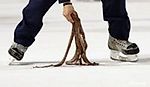 Red Wings, Red Wings