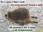 ёжиг, ёжиг