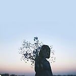 ms.gopher, ms.gopher