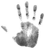 finger_print, finger_print