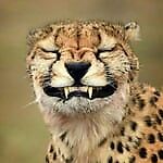 Slavik Tarasov, Slavik Tarasov