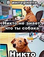 Пользователь_144292854, Пользователь_144292854