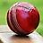 Cricket Highlights