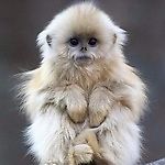 spammer27, spammer27