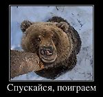 Игорь Попов, Игорь Попов