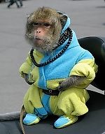 Укр Майданутый, Укр Майданутый