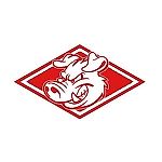 DmitryStill, DmitryStill