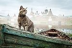 pasha_24_04, pasha_24_04 pasha_24_04, pasha_24_04