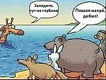Просто Иванов, Просто Иванов
