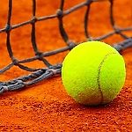 shameonyou, shameonyou