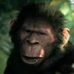 ccch-ccch, ccch-ccch