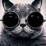 BratDrugBorsh, BratDrugBorsh