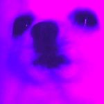 Александр Фадин, Александр Фадин