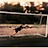 Kevin-Prince Boateng