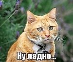 Artem Koshchiienko, Artem Koshchiienko