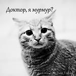 АкБарс Рубинович, АкБарс Рубинович