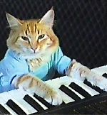 Sir Robin Not So Brave as Sir Launcelot, Sir Robin Not So Brave as Sir Launcelot