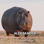 Sanya Pidora, Sanya Pidora