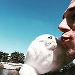 Vladimir Zelinskiy, Vladimir Zelinskiy