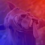 Тот самый Комогонь, Тот самый Комогонь Тот самый Комогонь, Тот самый Комогонь