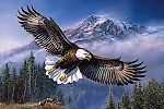 Eagle18, Eagle18 Eagle18, Eagle18