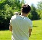 Ibetforfood, Ibetforfood