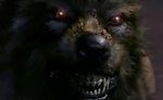 Lycanthrope, Lycanthrope