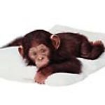 Татьяна, Татьяна