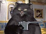Котик Бегемотиг, Котик Бегемотиг