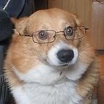 NoMoreNyashMyash, NoMoreNyashMyash